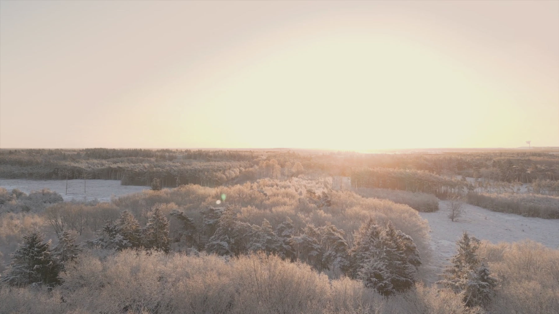 Ambient holiday video of a cozy living room with a decorated Christmas tree, twinkling lights and soft fireplace glow